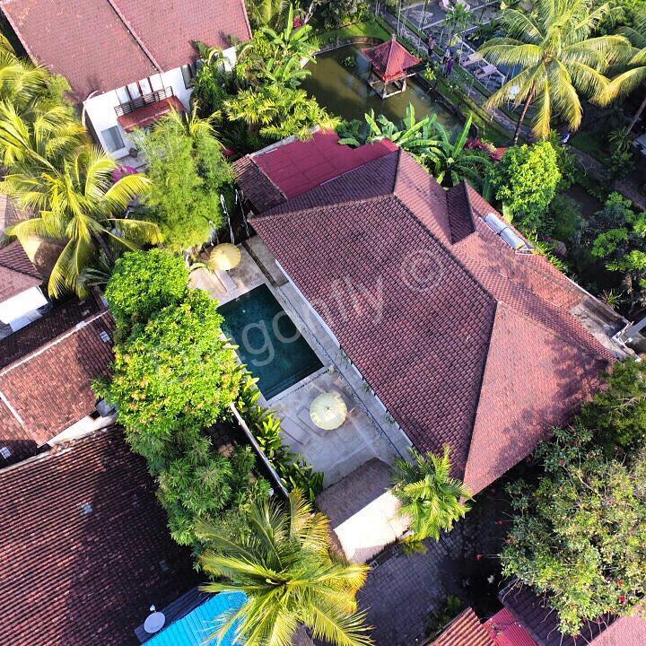 The Royal Palm Villa Ubud Dış mekan fotoğraf